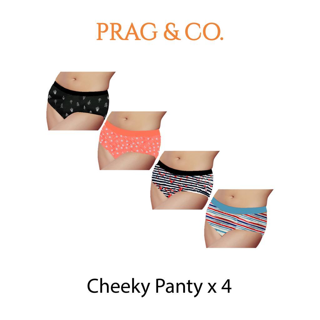 Cheeky Panty 4 PC Pack - Christmas Print-Floral Lines - Dogprint-Paint Lines